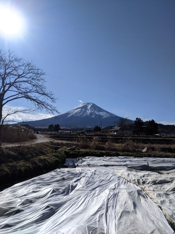 富士山と共に