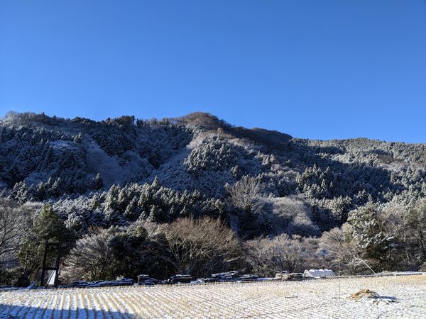 道志村の雪景色